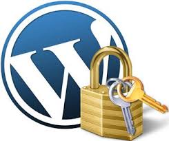 επαγγελματικό WP secure